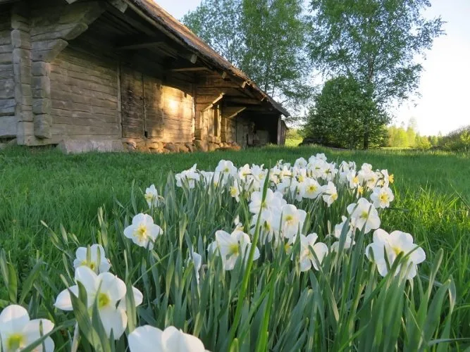 Silakrogs ... 6