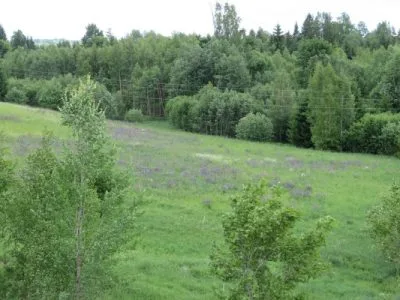 Pārdod investīciju objektu, Silakrogs ..., Vecpiebalgas novads, Vecpiebalgas pagasts / 95 000 € 5