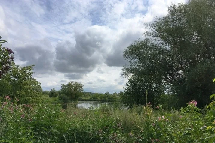 Land plot For Sale, Uzvaras street 62/64, Jelgava / 740 000 € 20
