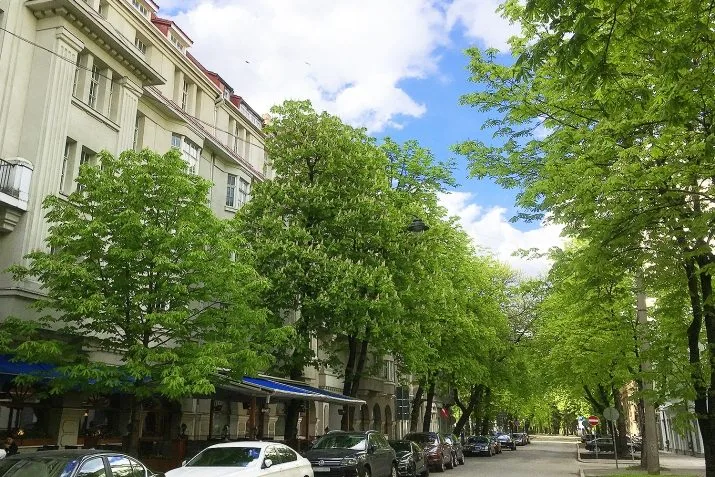 Pārdod dzīvokli, Ausekļa iela 11, Rīga, Labais krasts, Centrs / 265 000 € 24