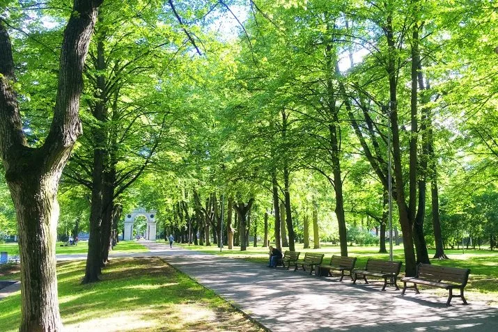 Pārdod dzīvokli, Ausekļa iela 11, Rīga, Labais krasts, Centrs / 265 000 € 25