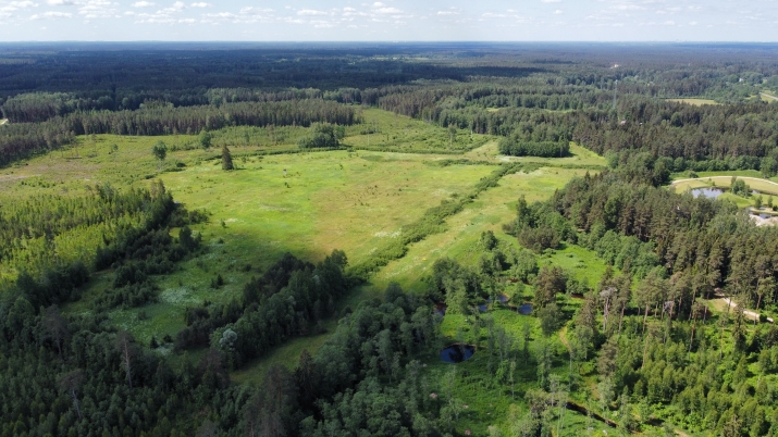 Tumšupe Bebrīši 5