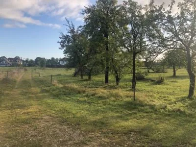 Land plot For Sale, Pundiņi 2, Ķekavas novads, Ķekavas pagasts, Krogsils / 140 000 € 9