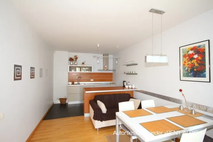 Apartment For Rent, Ezermalas street 18b, Rīga, Labais krasts, Mežaparks / 2 100 € 11