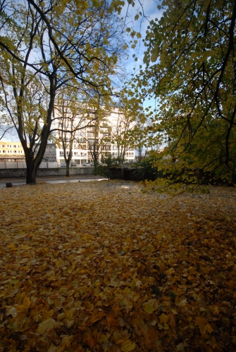 Klijānu iela 6 31