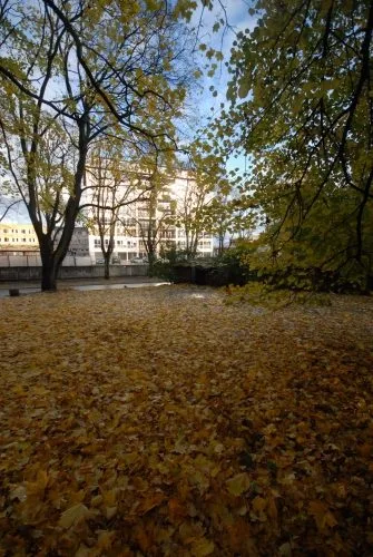 Klijānu iela 6 31