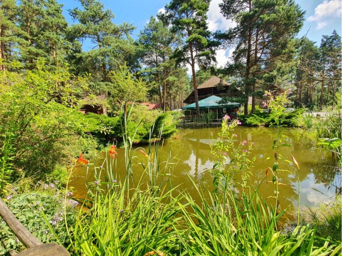 Pārdod tirdzniecības telpas, Visdari -, Rīga, Labais krasts, Rumbula / 470 000 € 11