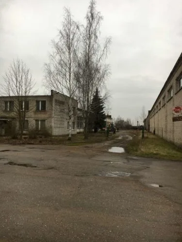Saltums b/n 6