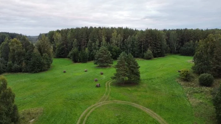 Pārdod māju, "Eglītes" 1, Dobeles novads, Auru pagasts / 120 000 € 15