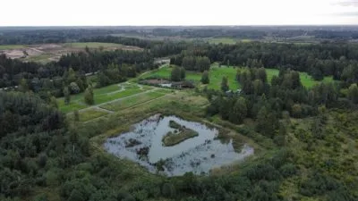 Продажа земли, "Eglītes" 1, Dobeles novads, Auru pagasts / 120 000 € 29