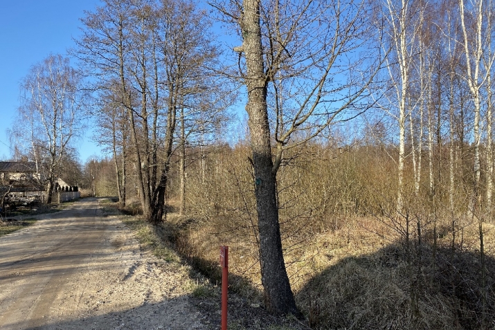 Kapteiņu iela 18 5