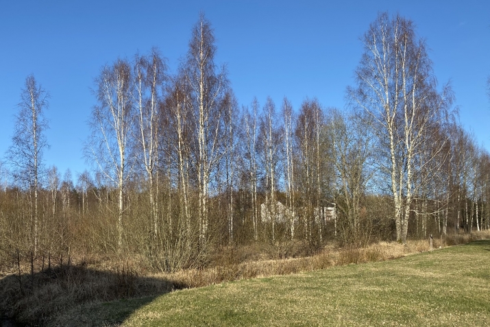 Kapteiņu iela 18 2