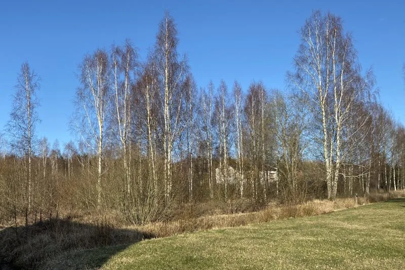Kapteiņu iela 18 2