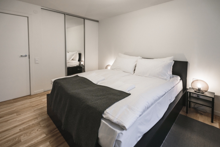 Izīrē dzīvokli, Pulkveža Brieža iela 9, Rīga, Labais krasts, Centrs / 550 € 12