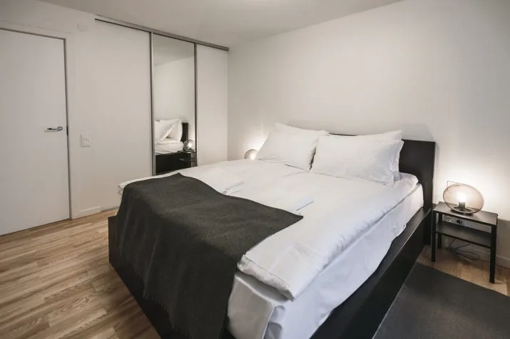 Izīrē dzīvokli, Pulkveža Brieža iela 9, Rīga, Labais krasts, Centrs / 550 € 12