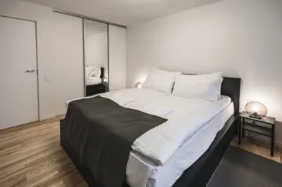 Izīrē dzīvokli, Pulkveža Brieža iela 9, Rīga, Labais krasts, Centrs / 550 € 12