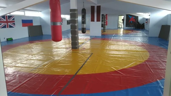 Investment object For Sale, Gaismas street 20a, Aizkraukles novads, Aizkraukle / 725 000 € 13
