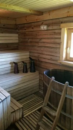 Pārdod māju, Jaunlauvas iela Jaunlauvas, Kokneses novads, Kokneses pagasts / 107 000 € 14