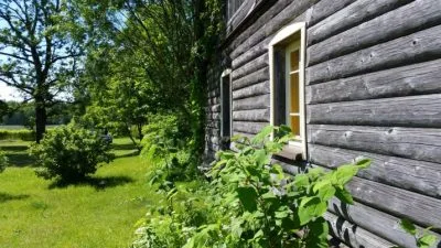 Pārdod māju, Jaunlauvas iela Jaunlauvas, Kokneses novads, Kokneses pagasts / 107 000 € 6