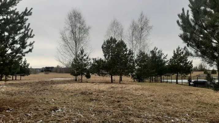 Продажа земли, Rasas .., Ikšķiles novads, Tīnūžu pagasts / 50 000 € 9