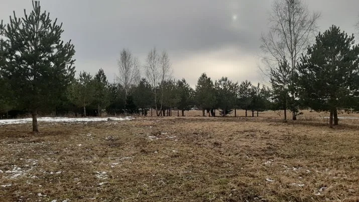 Продажа земли, Rasas .., Ikšķiles novads, Tīnūžu pagasts / 50 000 € 10