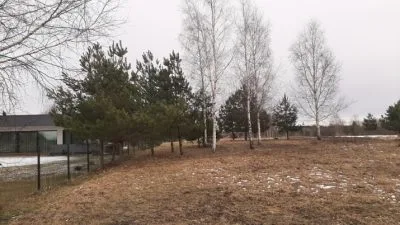 Продажа земли, Rasas .., Ikšķiles novads, Tīnūžu pagasts / 50 000 € 8