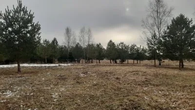 Продажа земли, Rasas .., Ikšķiles novads, Tīnūžu pagasts / 50 000 € 10