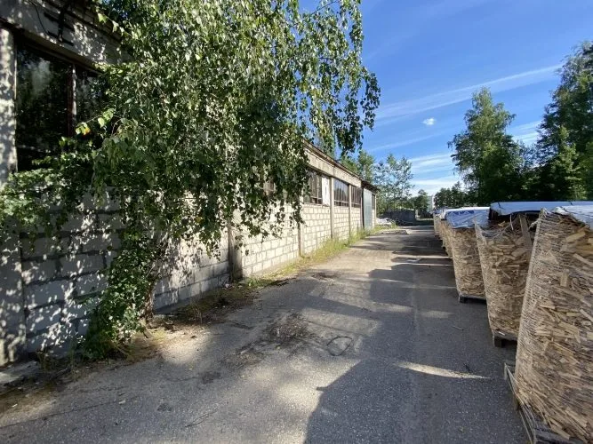 Warehouse facilities For Rent, Rubeņu street 1, Ropažu novads, Zaķumuiža / 1 300 € 9