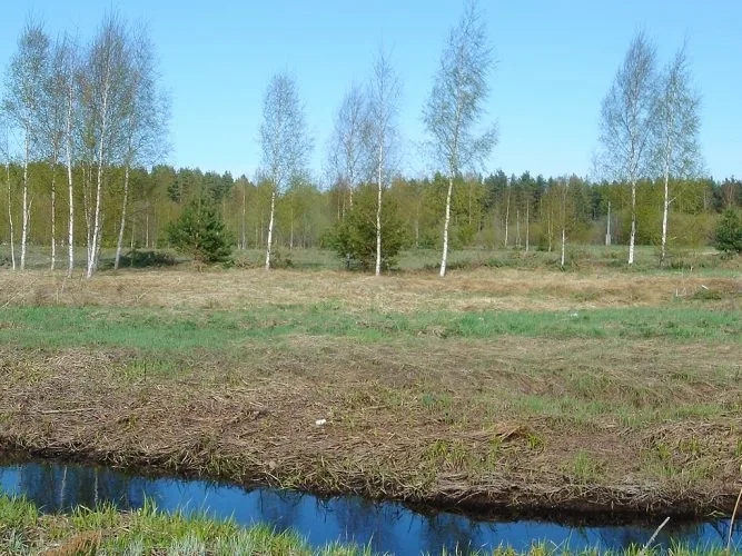 Продажа земли, Dzilupītes 1, Babītes novads, Babītes pagasts / 1 228 000 € 8