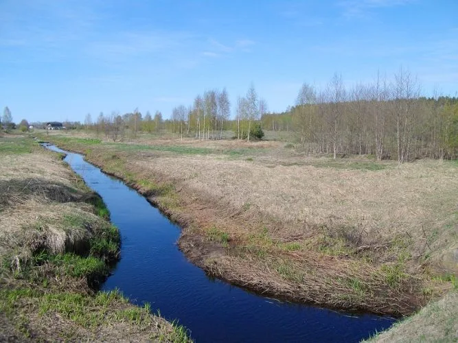 Dzilupītes 1 6