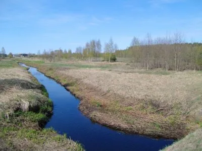 Продажа земли, Dzilupītes 1, Babītes novads, Babītes pagasts / 1 228 000 € 6