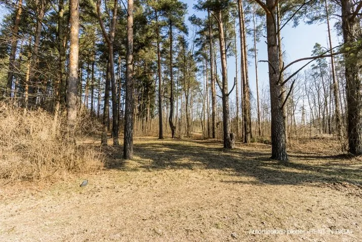Pārdod zemi, Santīmi 1, Iecavas novads / 149 000 € 18