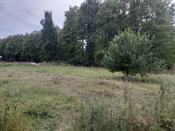 Image 1 of 7