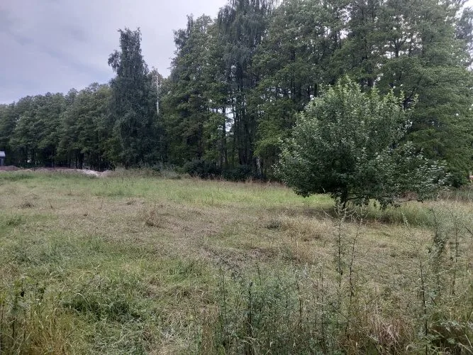 Rudzu iela 58 1
