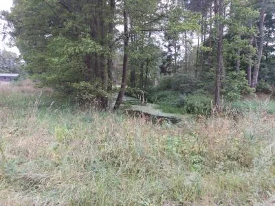 Land plot For Sale, Rudzu street 58, Rīga / 32 000 € 3