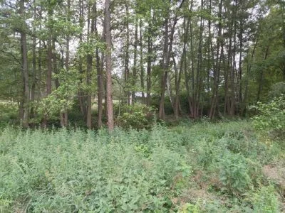 Land plot For Sale, Rudzu street 58, Rīga / 32 000 € 6