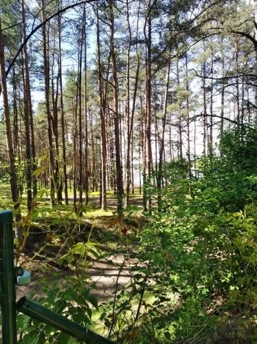 Izīrē māju, Vārnukroga ceļš ..., Jūrmala, Priedaine / 1 200 € 10
