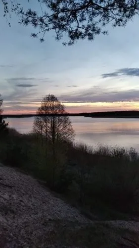 Izīrē māju, Vārnukroga ceļš ..., Jūrmala, Priedaine / 1 200 € 12