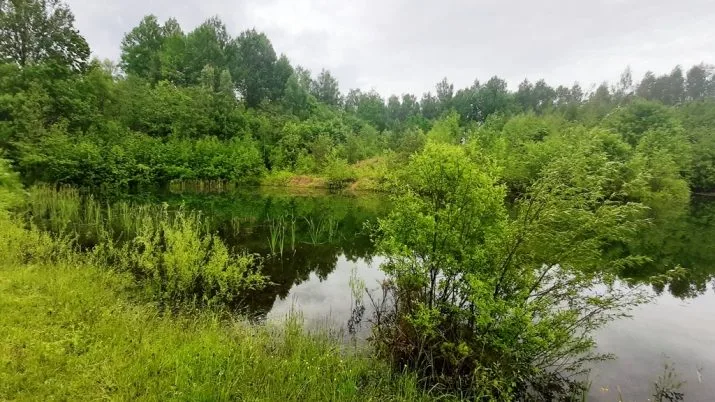 Продажа дома, Celmiņi ..., Jaunjelgavas novads, Daudzeses pagasts / 76 000 € 41
