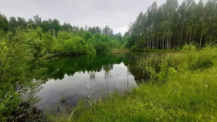 Celmiņi ... 7