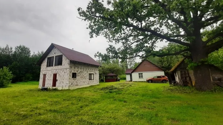 Celmiņi ... 2