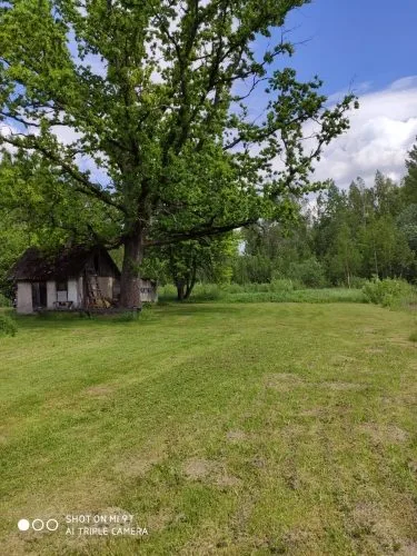 Продажа дома, Celmiņi ..., Jaunjelgavas novads, Daudzeses pagasts / 76 000 € 3