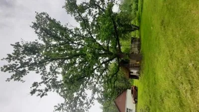 Продажа дома, Celmiņi ..., Jaunjelgavas novads, Daudzeses pagasts / 76 000 € 9