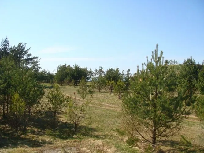 Raķešnieki 1 3