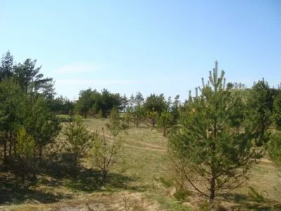 Продажа земли, Raķešnieki 1, Ventspils novads, Jūrkalnes pagasts / 450 000 € 3