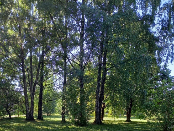 Plēsuma iela 2A 7