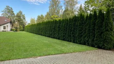 House For Rent, Slokas street 96, Jūrmala, Dubulti / 2 150 € 6