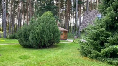 House For Rent, Slokas street 96, Jūrmala, Dubulti / 2 150 € 7