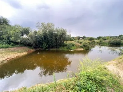 Продажа коммерческой недвижимости, Putnu 6, Jelgava / 115 000 € 26