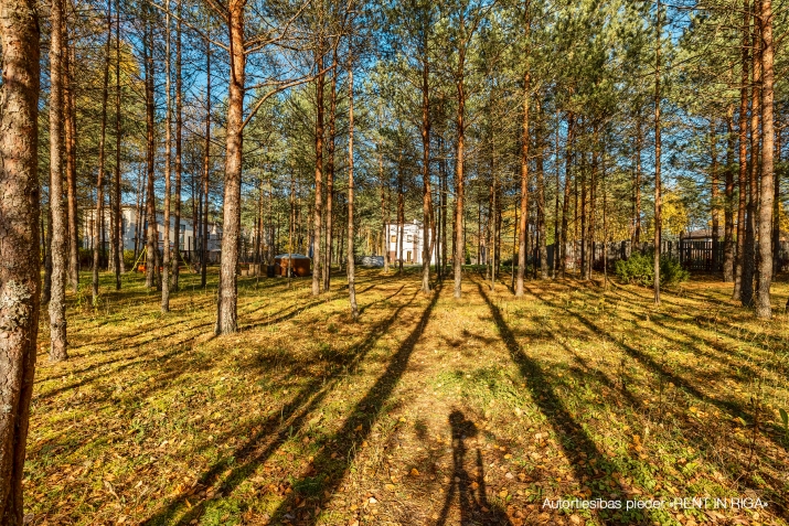 Pārdod māju, Priežu iela 3, Garkalnes novads, Garkalne / 690 000 € 32